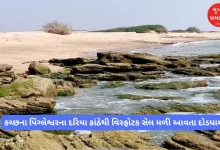 Amidst the fear of war, an explosive cell was found on the beach of Pingleswar in Kutch, causing panic