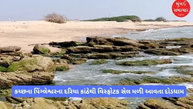 Amidst the fear of war, an explosive cell was found on the beach of Pingleswar in Kutch, causing panic