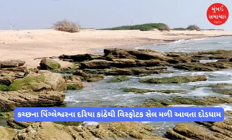 Amidst the fear of war, an explosive cell was found on the beach of Pingleswar in Kutch, causing panic