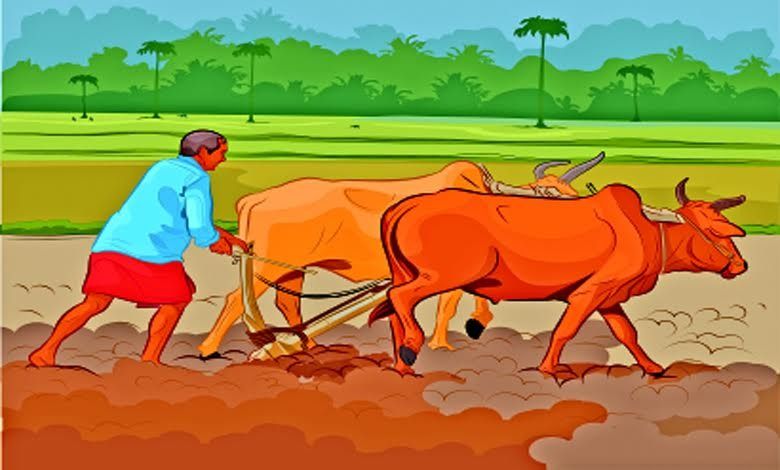 મગજ મંથન : પ્રવૃત્તિ વગરનું જીવન એક પડછાયા જેવું છે, નજરે પડે પણ એ જીવંત નથી…