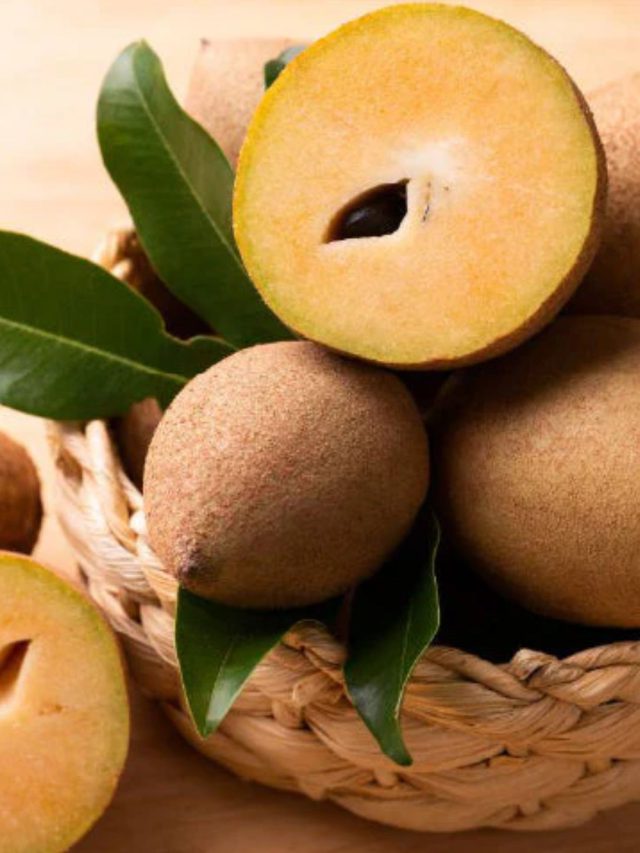 આ લોકો માટે સ્લો પોઈઝન છે ચીકુ, જાણો કોણે ના ખાવા જોઈએ…