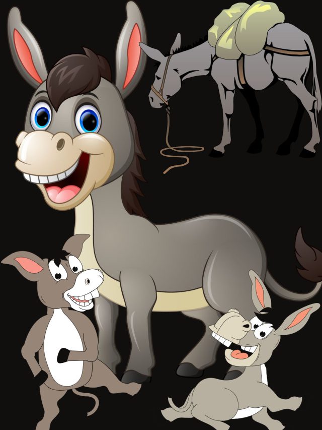 ભારતમાં અહીં લાગે છે ગધેડાઓનો મેળો, નામ જાણી લેશો તો…