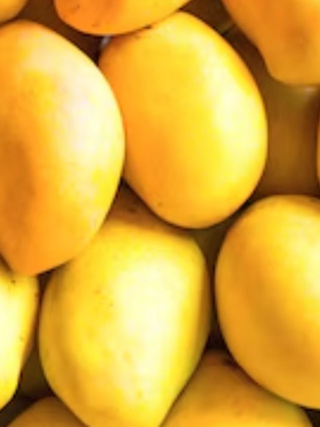 એક દિવસમાં કેટલી કેરી ખાવી જોઈએ, 99 ટકા લોકોને નથી ખબર જવાબ…