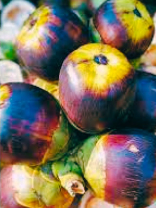 ઉનાળામાં મળતું આ ફ્રૂટ છે સંજીવનીસમાન, ખાવાના ફાયદા જાણી લેશો તો…