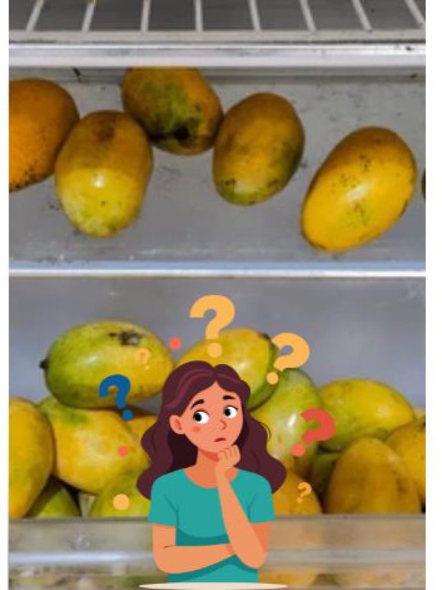 કેરી ફ્રીજમાં યોગ્ય કે નહીં
