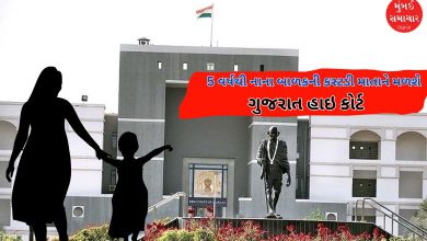 આ કારણ હશે તો જ 5 વર્ષથી નાના બાળકની કસ્ટડી માતાને મળશે : હાઇ કોર્ટ