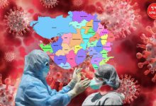 gujarat corona cases update