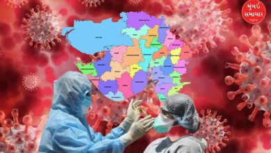 gujarat corona cases update
