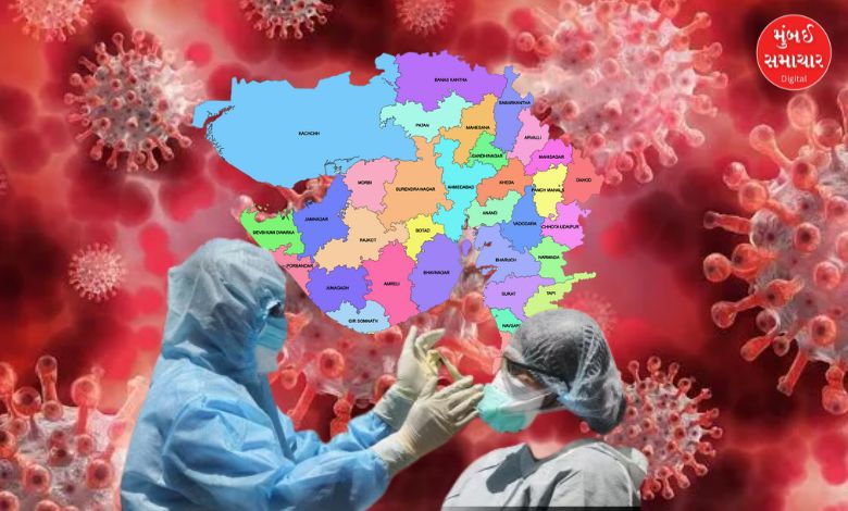 gujarat corona cases update