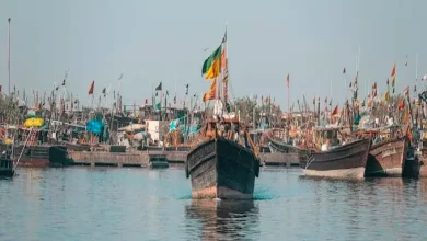 "Gujarat Fisheries Department Bans Fishing Due to Bad Weather"