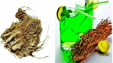 Herbs that cool the body...