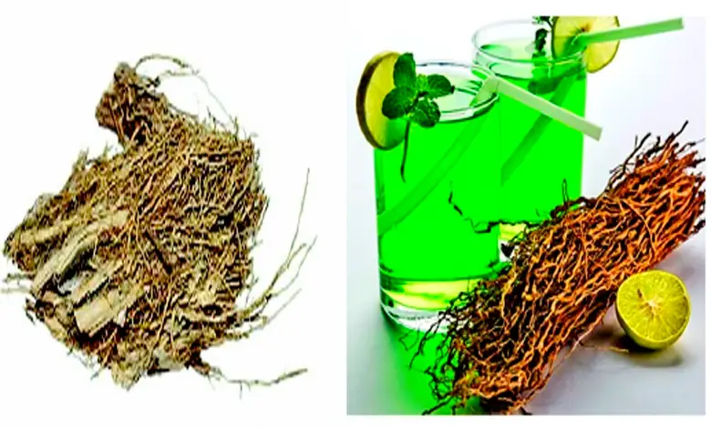 Herbs that cool the body...