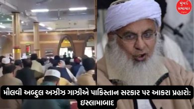 Pakistan government is bombing its own people! Islamabad cleric raises questions