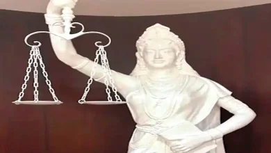 "True Justice: Balance and Virtue in Creation"