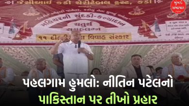 Nitin Patel Slams Pakistan Over Pahalgam Attack