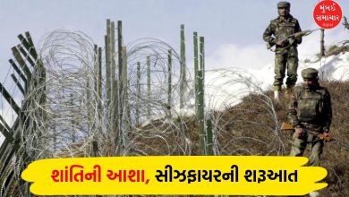 "India-Pakistan Ceasefire: What It Means & What's Next"