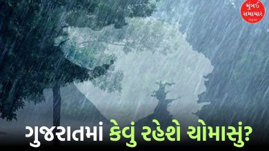 Monsoon likely to last 16 days in Gujarat: Conclusion of more than 50 forecasters
