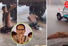 "Farmer's Desperate Struggle: Viral Video Moves Agriculture Minister"