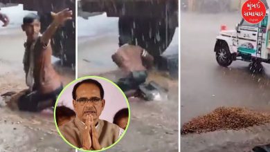 "Farmer's Desperate Struggle: Viral Video Moves Agriculture Minister"