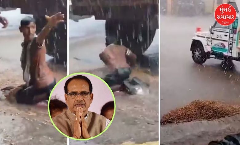 "Farmer's Desperate Struggle: Viral Video Moves Agriculture Minister"