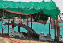 "12 Leopards Thrive in Kutch Desert Region's New Habitat"