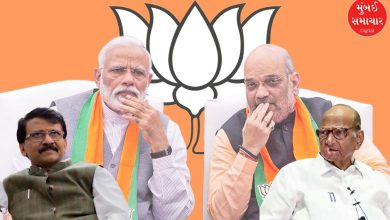 "Sanjay Raut Targets Sharad Pawar Over Amit Shah modi Resignation"