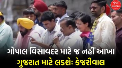 Visavadar by-election: Kejriwal challenges BJP to show Italy's disintegration, says this about Congress