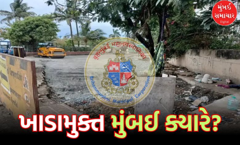 Mumbai's Pothole-Free Project Faces Delays Amid Monsoon