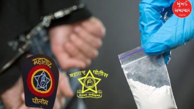 "Maharashtra Forms Anti-Narcotics Task Force to Fight Drug Smuggling"