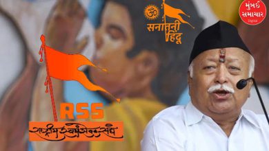"RSS Chief Mohan Bhagwat Emphasizes Hindu Unity and Power"