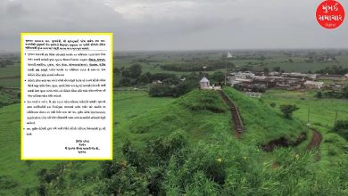 "Gujarat Govt Allows Declassification of Protected Forest Areas"