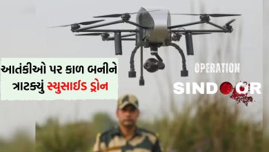 ભારતના આ ડ્રોને પાકિસ્તાનમાં ઘૂસીને મચાવી તબાહી, જાણો કેમ કહેવાય છે સ્યુસાઈડ ડ્રોન