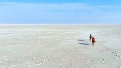 કચ્છના રણમાં ફસાયેલા ધાંગ્રંધાના પરિવારન આ રીતે ઉગારાયો
