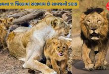 Lion population in the state has been declared, know how much percentage has increased in 5 years