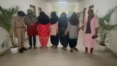 A bride-robber gang was exposed in Surat city.