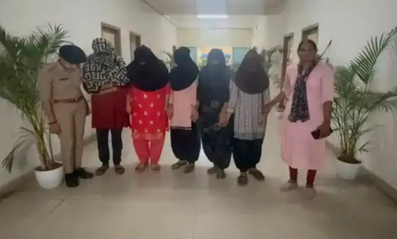 A bride-robber gang was exposed in Surat city.