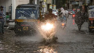 After Kerala monsoon enters Maharashtra know weather of other states