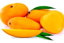"Managing Mango Consumption with Diabetes: Guidelines and Tips"