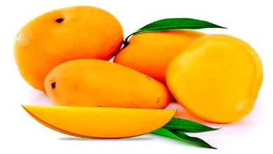 "Managing Mango Consumption with Diabetes: Guidelines and Tips"