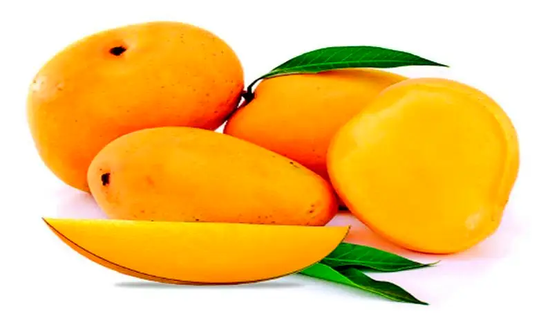 "Managing Mango Consumption with Diabetes: Guidelines and Tips"
