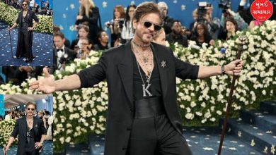 Shahrukh Khan appeared as an emperor at the Met Gala, while Isha Ambani arrived as a princess, these celebs also won hearts