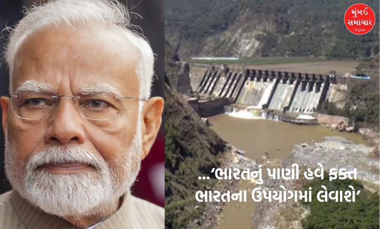 'India's water will now be used only by India', PM Modi gives a strong message to Pakistan