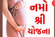 Motherhood flourished in Gujarat due to Namo Shree Yojana, 4 lakh mothers received financial assistance of ₹222 crore in 1 year