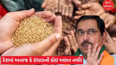Operation Sindoor: There is no shortage of food grains or fuel in the country!