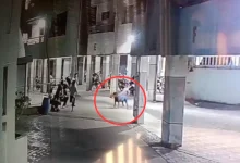 "Pet Dog Kills 4-Month-Old Baby Girl in Ahmedabad Attack"