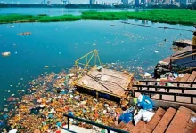"Powai Lake Revival: Sewage Diversion and Treatment Plant"