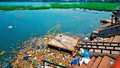 "Powai Lake Revival: Sewage Diversion and Treatment Plant"