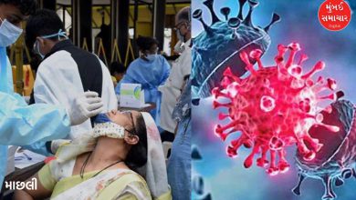 8 cases of Corona were reported in Rajkot on Saturday, know how many total cases are there in the city