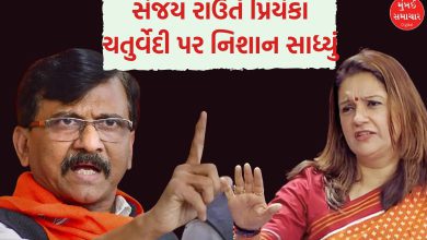 સંજય રાઉતનો પ્રિયંકા ચતુર્વેદી પર કટાક્ષ: ઊંચે ઉડ્યા તો સમજી લેજો કપાશે!