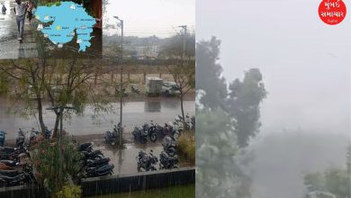 Unseasonal rains lashed 103 talukas in Gujarat; 7 inches of rain in Mahuva, Bhavnagar, farmers' concerns increased